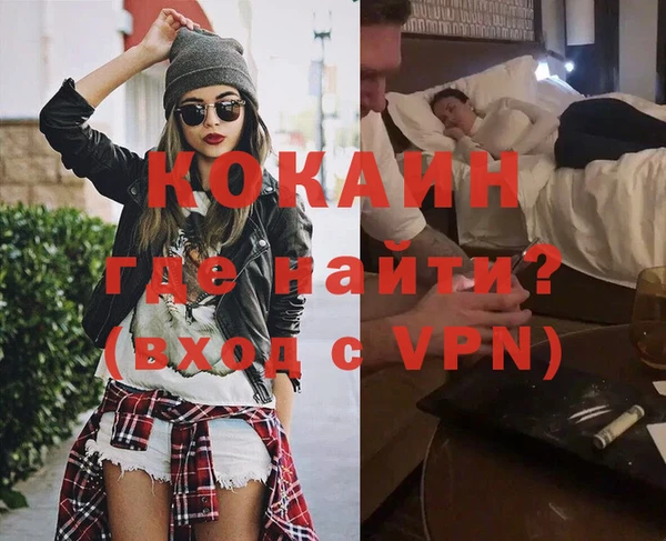 дмт Бородино