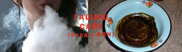 дмт Бородино