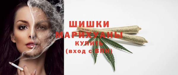 дмт Бородино