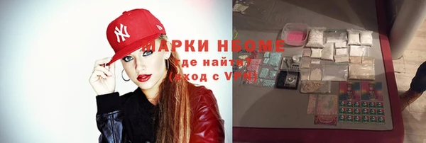 дмт Бородино