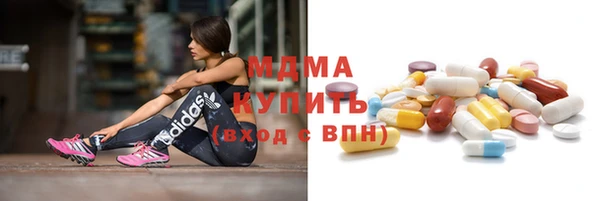 дмт Бородино