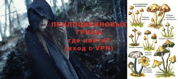 мдпв Бронницы