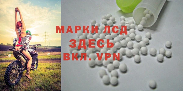 дмт Бородино