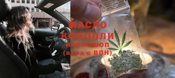 дмт Бородино