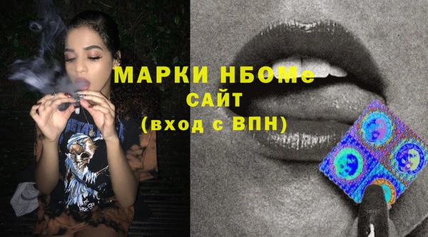 дмт Бородино