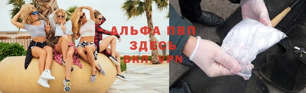 дмт Бородино