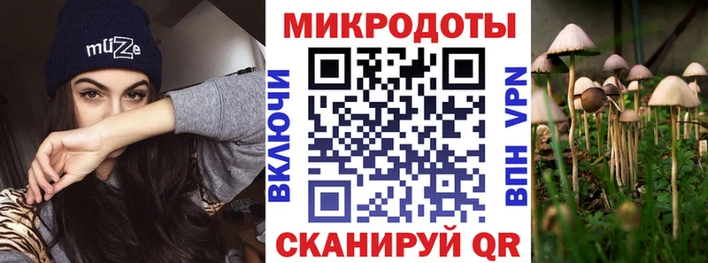 Псилоцибиновые грибы Psilocybe  Пермь 